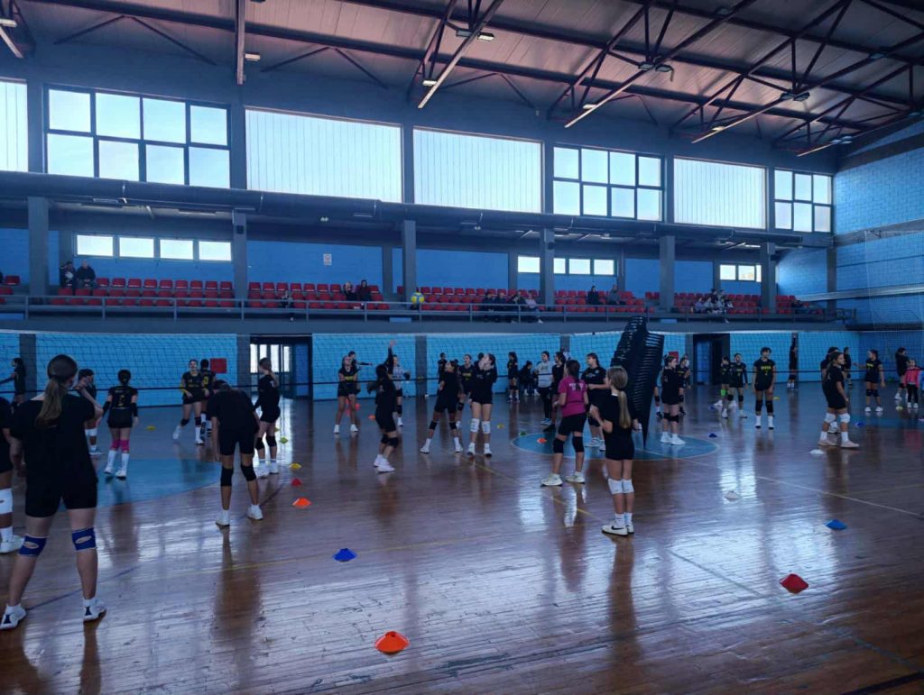 6801966b-35e9-477c-8493-3d1bb9d2fe04