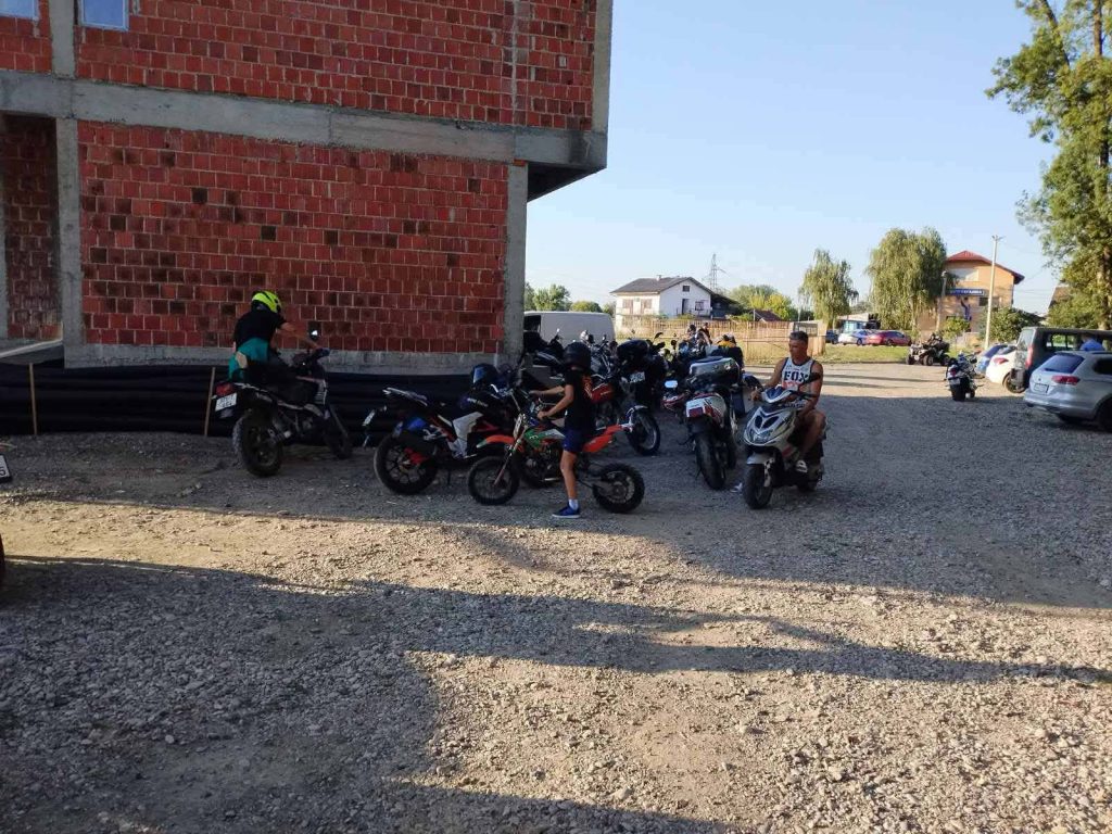 81